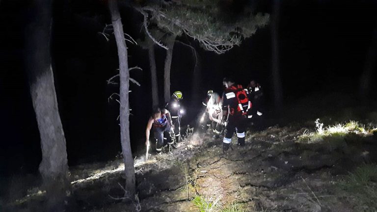 20240818 Waldbrand Bad Vöslau Gainfarn oberhalb Vöslauerhütte