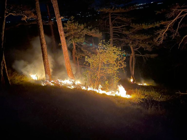 20240818 Waldbrand Bad Vöslau Gainfarn oberhalb Vöslauerhütte