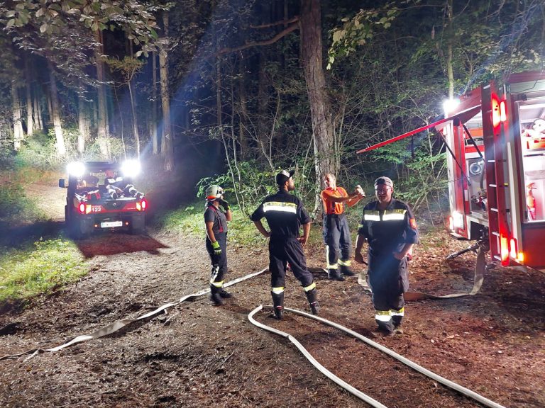 20240818 Waldbrand Bad Vöslau Gainfarn oberhalb Vöslauerhütte