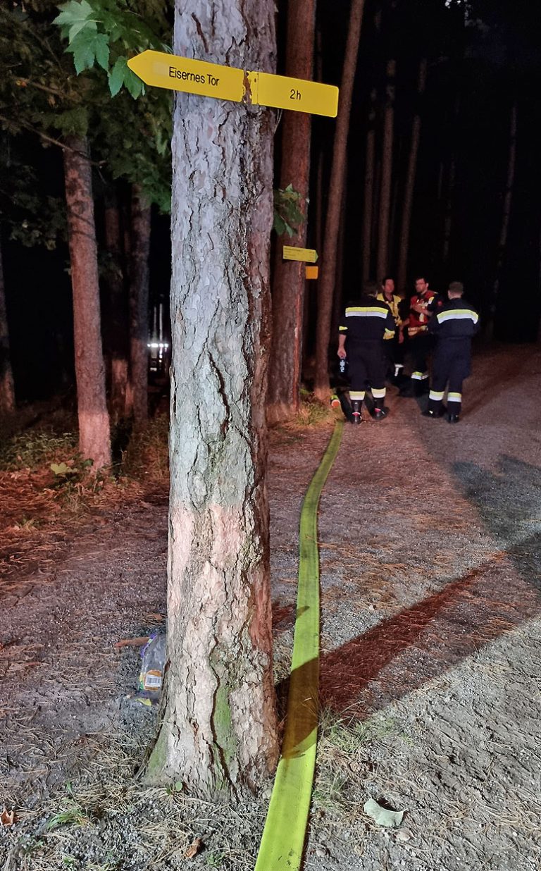 20240818 Waldbrand Bad Vöslau Gainfarn oberhalb Vöslauerhütte