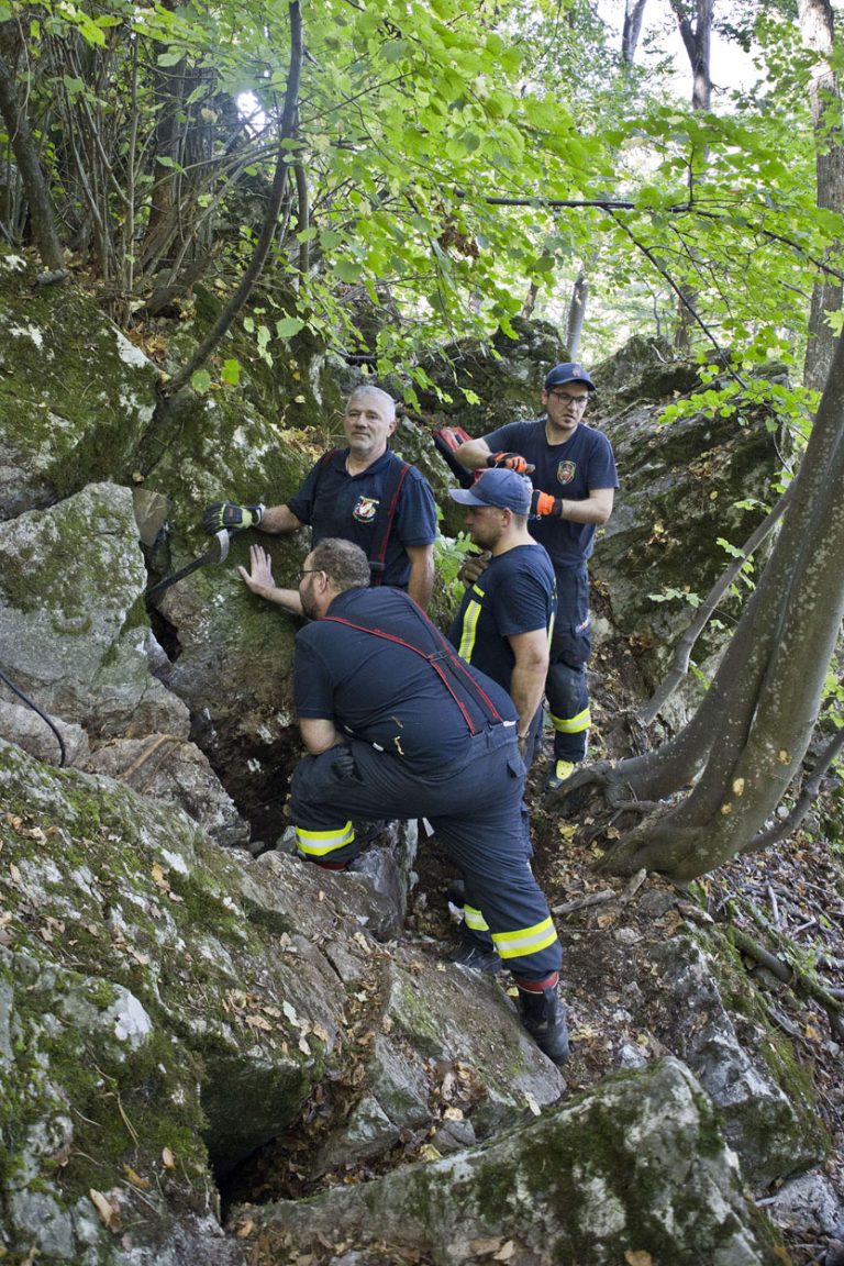 20240907_Herausfordernde Tierrettung in Baden NÖ