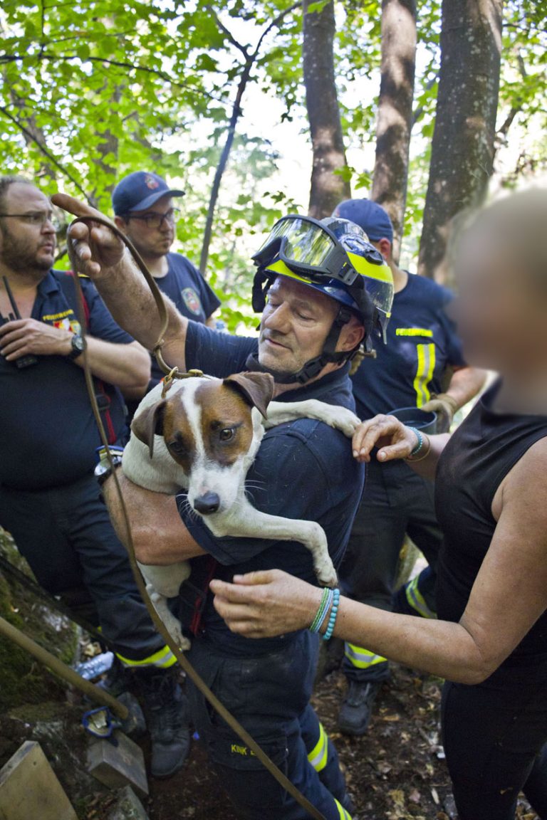 20240907_Herausfordernde Tierrettung in Baden NÖ