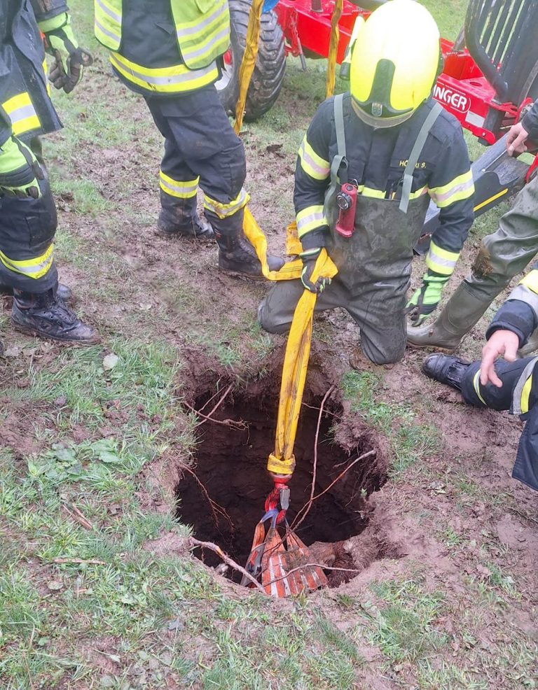 20240916 Erfolgreiche Tierrettung in Nöstach Hafnerberg Gemeind